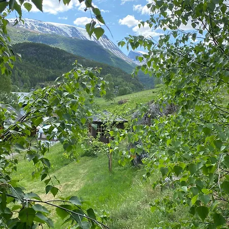 Galde Uppigard Boverdalen