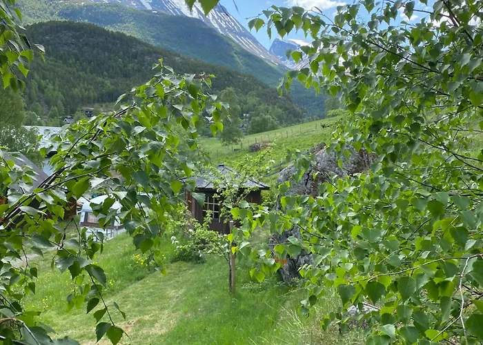 Galde Uppigard Boverdalen